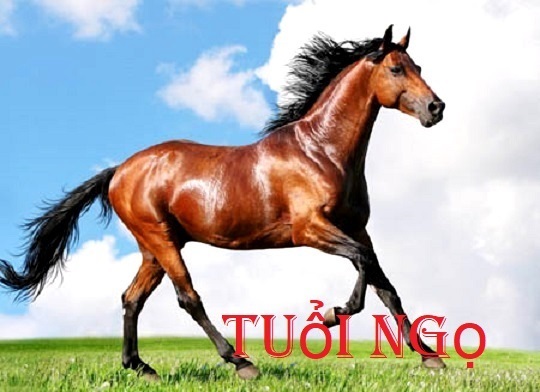 Tính cách tuổi Ngọ có ưu điểm gì mà nảy sinh nhiều tỉ phú, chính khách nổi tiếng thế giới?