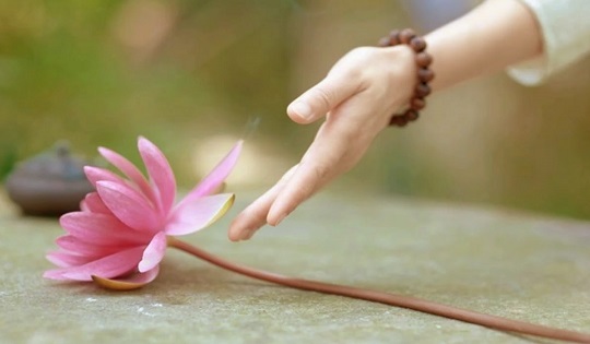 Trên đời này, vì sao có những người thường xuyên gặp vận rủi?