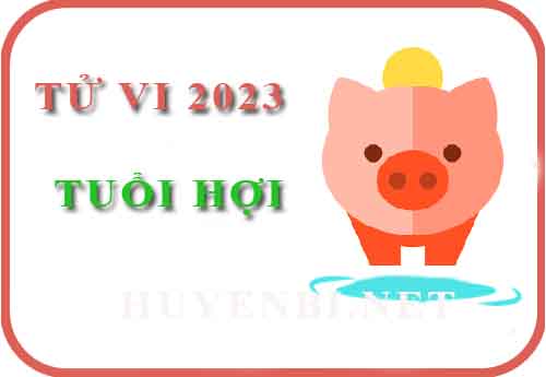 Luận giải chi tiết tử vi tuổi Hợi năm 2023 Quý Mão các tuổi: Tân Hợi, Quý Hợi, Ất Hợi, Đinh Hợi, Kỷ Hợi
