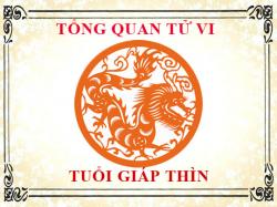 Tử vi tuổi Giáp Thìn 2024: Tổng quan về vận mệnh, tình yêu, sự nghiệp