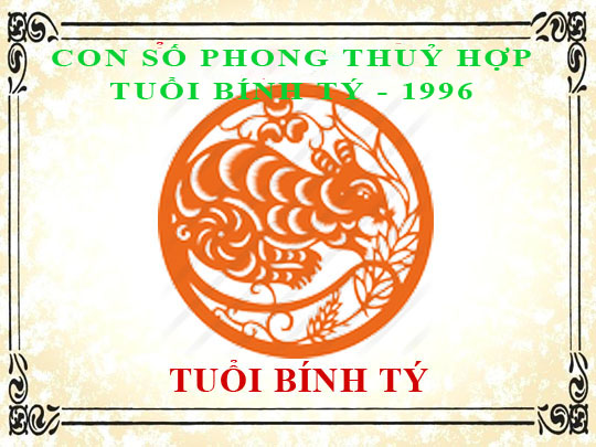 Sinh năm 1996 Bính Tý hợp với số mấy, và con số đường đời số nào?