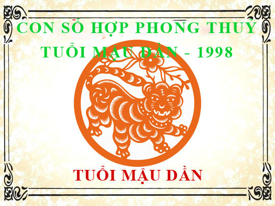 Sinh năm 1998 Mậu Dần hợp với số mấy, và con số đường đời số nào?